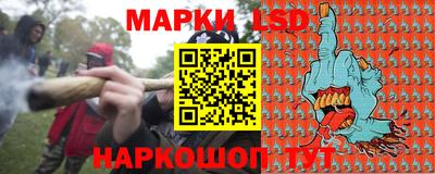 СК Боровичи