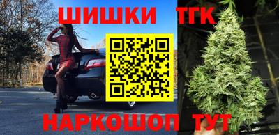 СК Боровичи