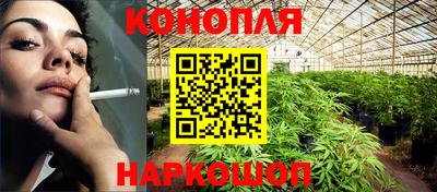 СК Боровичи