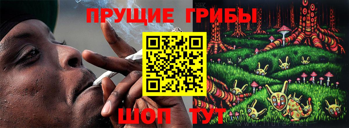 Псилоцибиновые грибы мухоморы Артёмовский